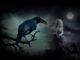 Remove Black Magic and Witchcraft in Birmingham