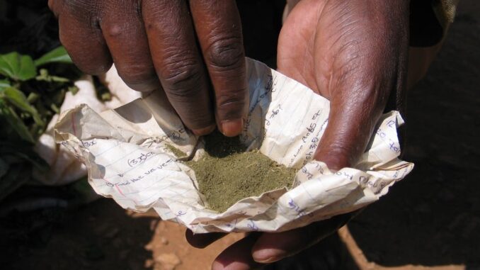 Lost Love Spells Caster in Gaborone