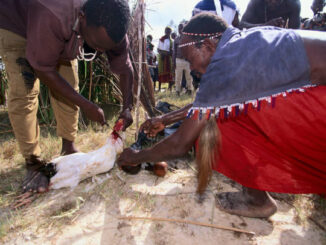 Great Best Lost Love Spell Caster in Secunda