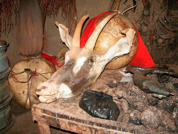 Skilled Powerful Traditional healer in Potchefstroom