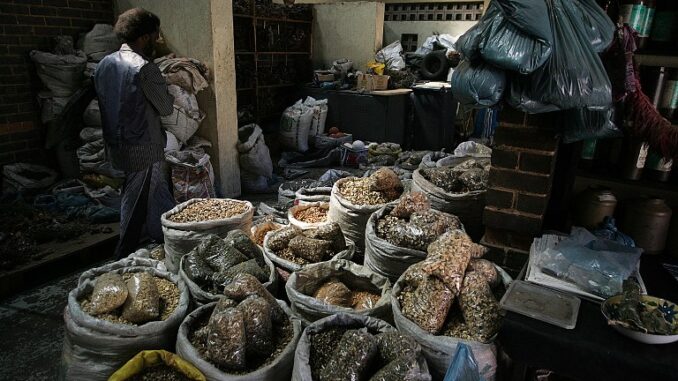 Traditional Healer in Queenstown
