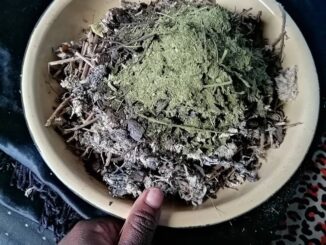 Traditional healer in Fort Beaufort