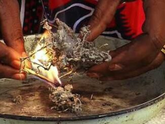 Traditional Healer in Magaliesburg