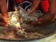 Traditional Healer in Magaliesburg
