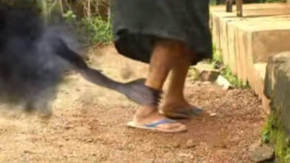 TRADITIONAL HEALER IN DURBAN