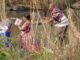 Remove Black Magic and Witchcraft in Livingston